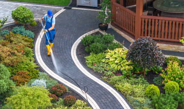 Best Pressure Washing Company Near Me  in California, PA